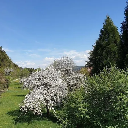 Vogelsang