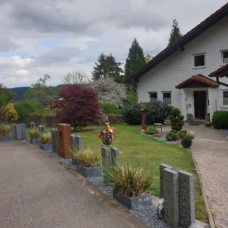 Schwarzwaldglueck Appartement Loßburg