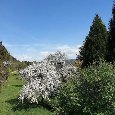Apartment Vogelsang